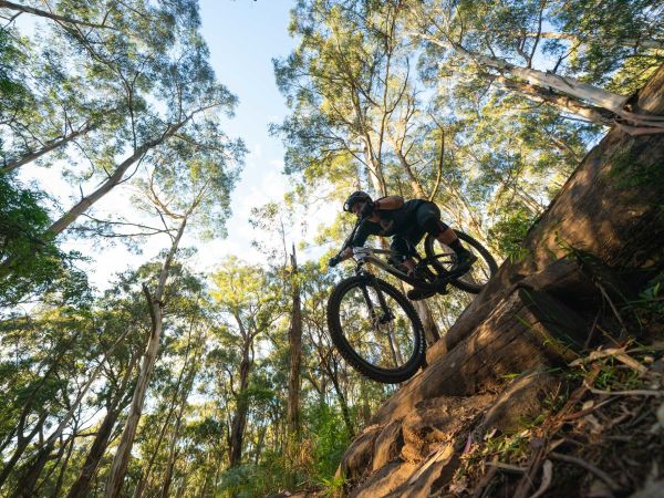 MTB Reviewers are Raving About the Intrigue Advanced Pro 29!