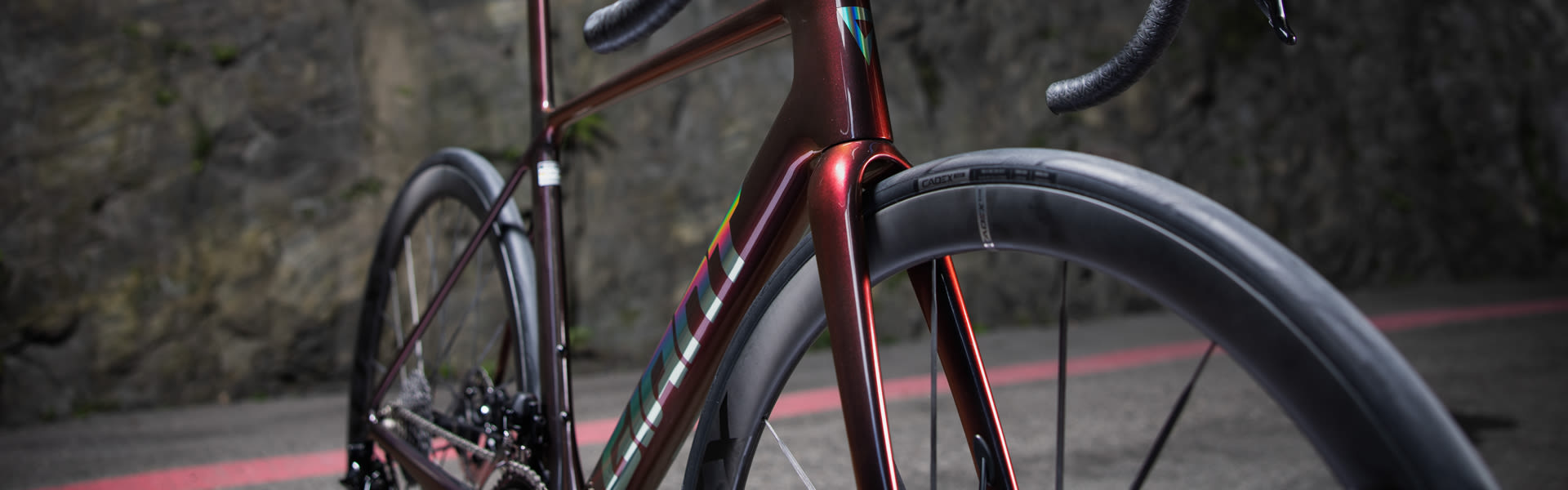 Giant Bicycles Japan 日本