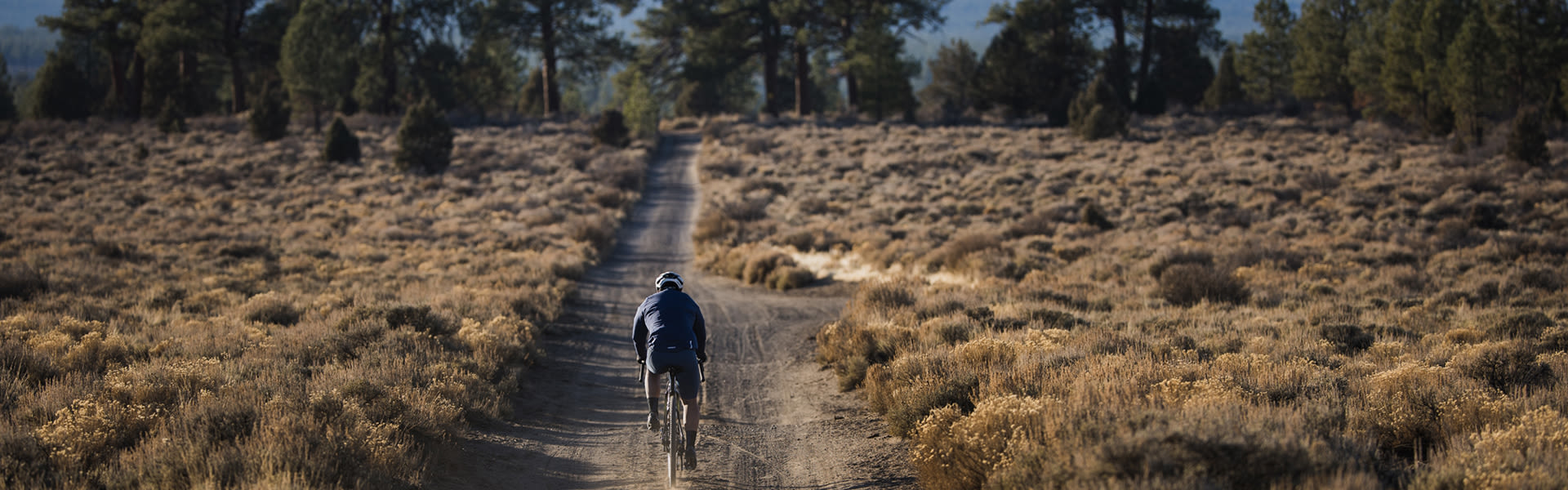 Giant Revolt Advanced Men's Gravel Bike (2024) | Giant