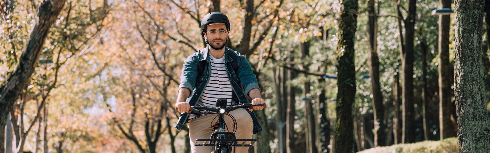 electric bikes