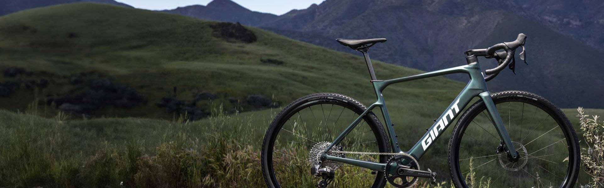 Giant e bike battery price shop