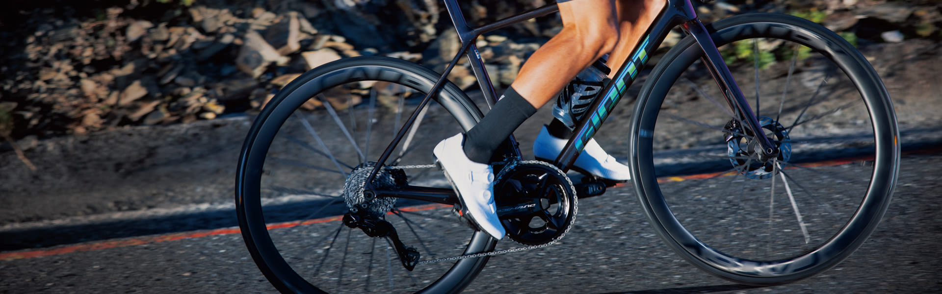 Giant Bicycles Japan 日本