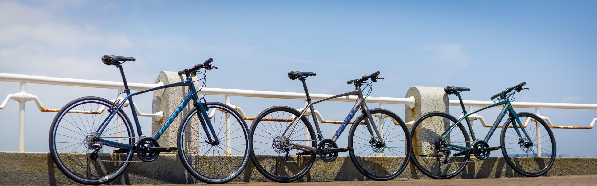 Giant Bicycles Japan 日本