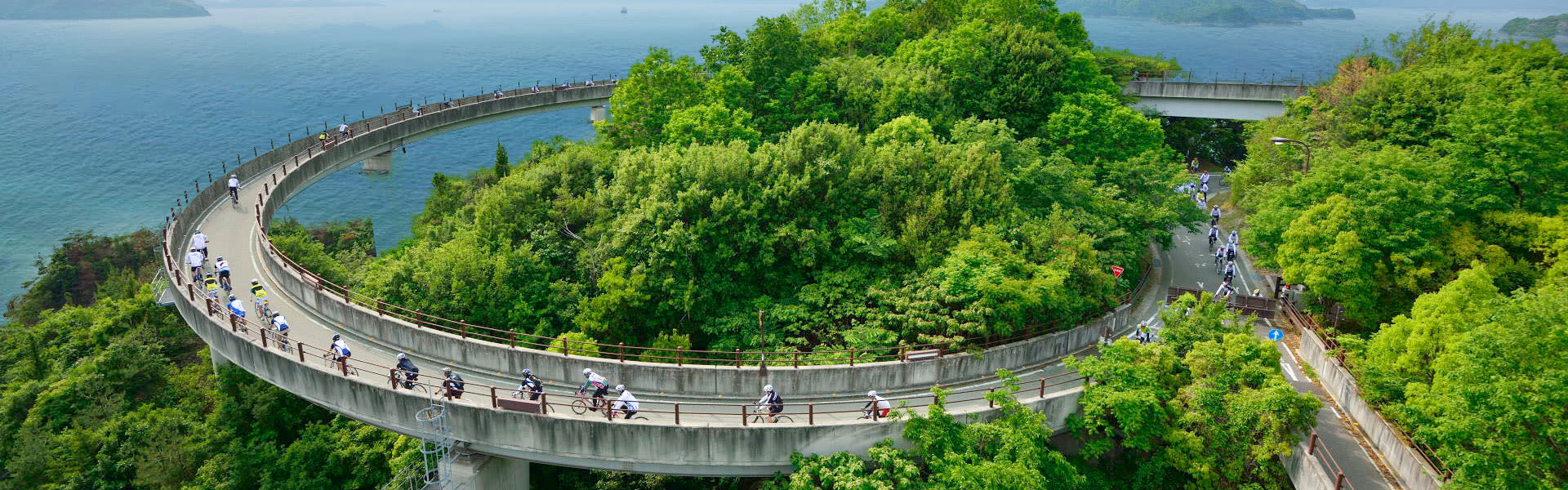 Giant Bicycles Japan 日本