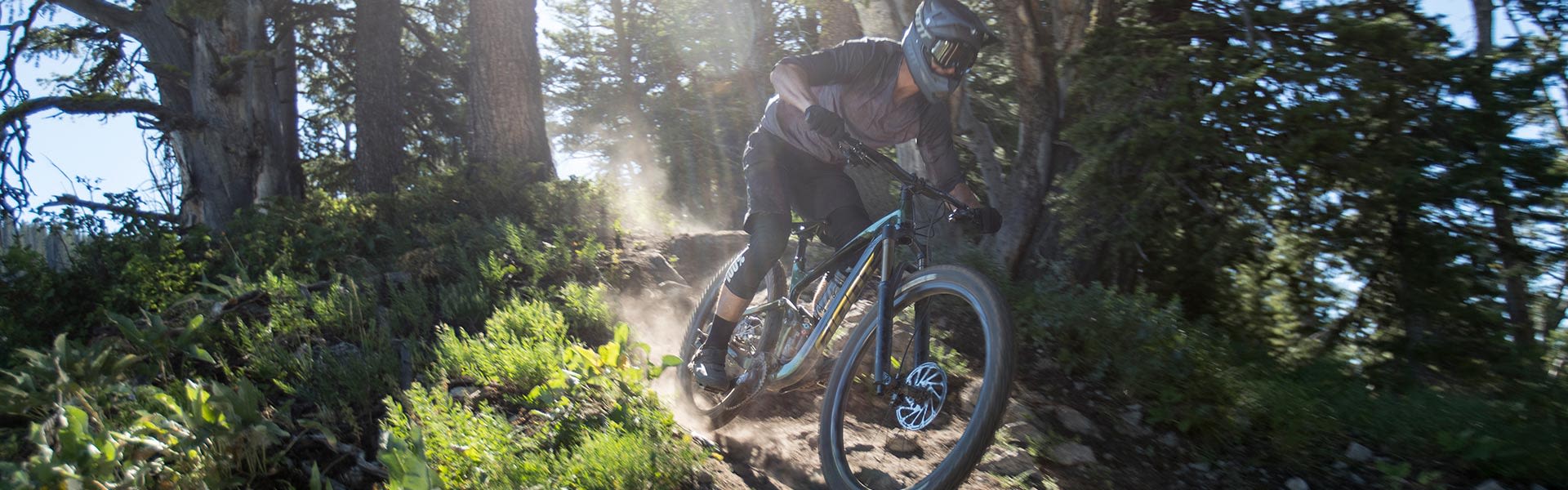 Reign Advanced Pro 29