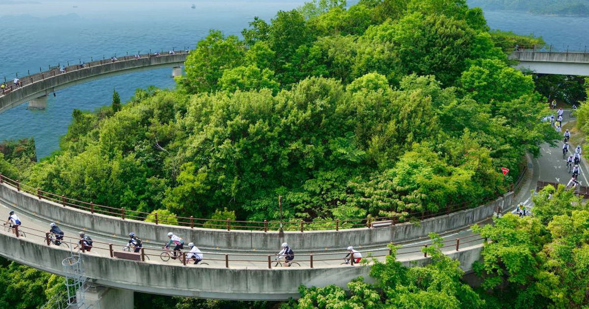 Giant Bicycles Japan 日本