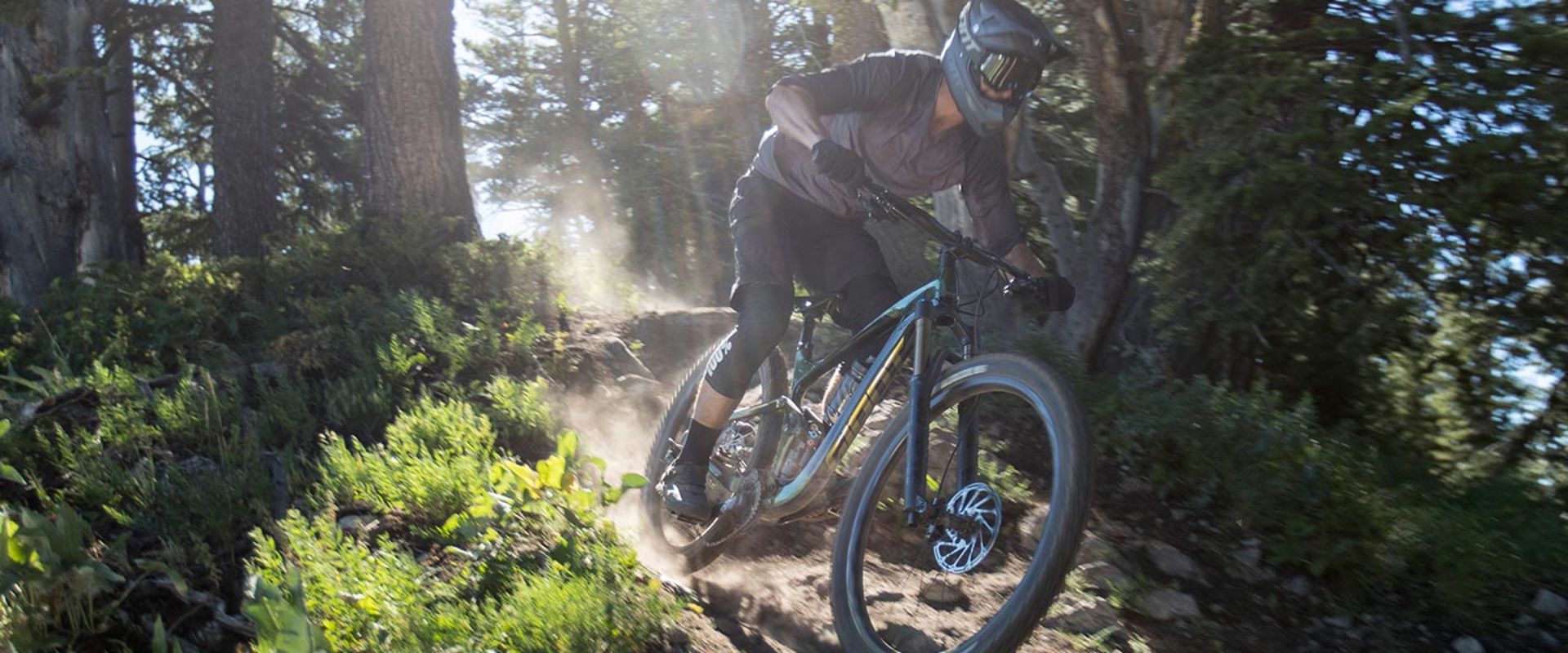 Reign Advanced Pro 29