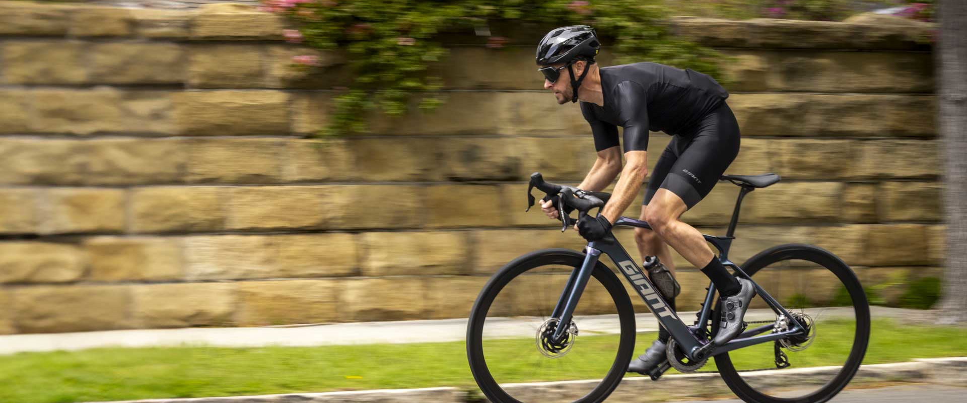 The giant bicycle clearance