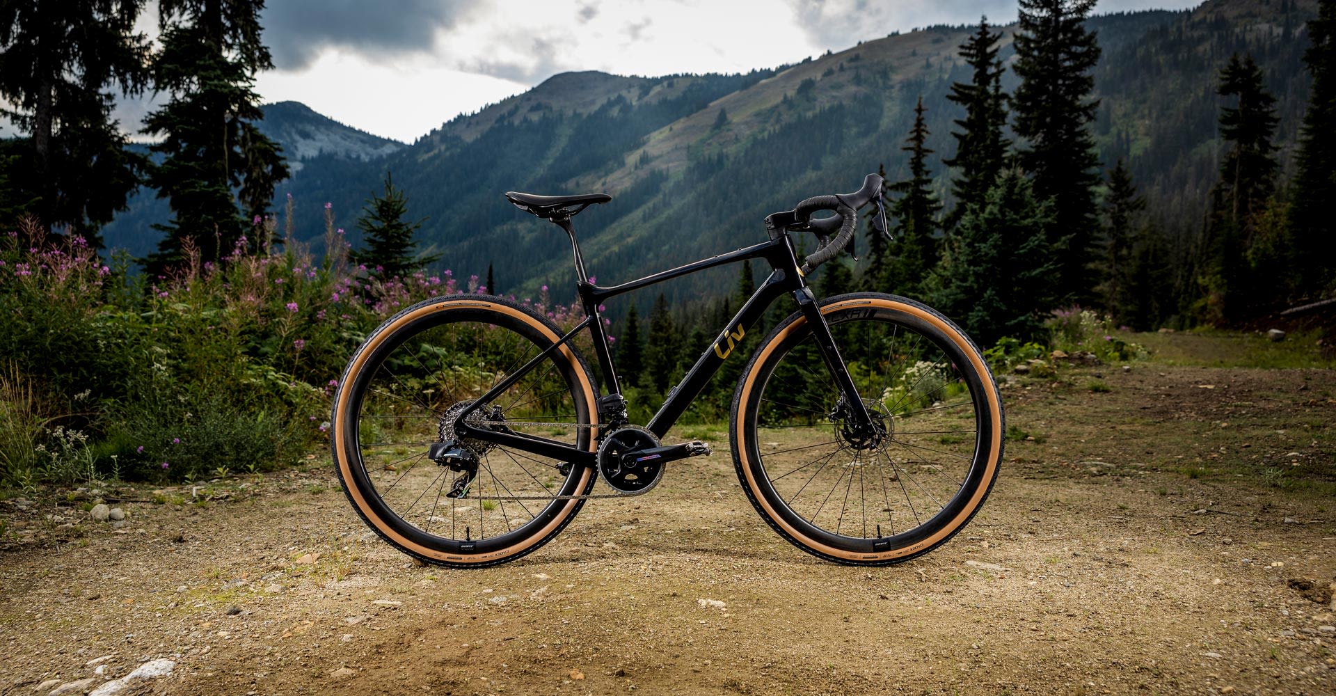 The Devote Advanced Pro