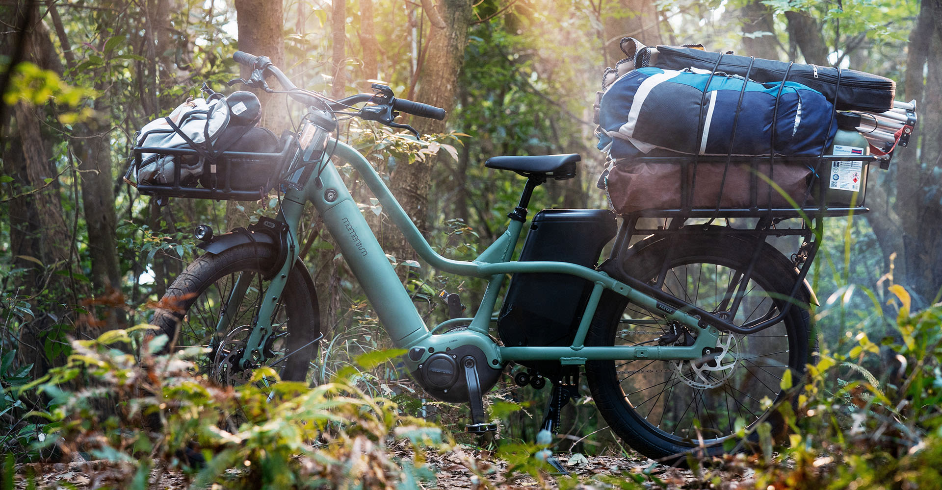 electric bikes