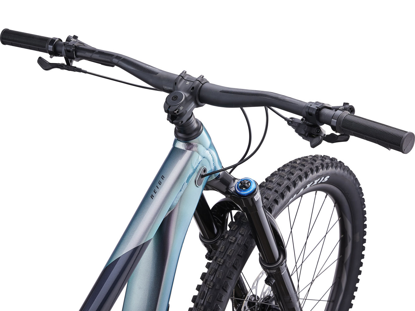 Reign 1 sales 2019
