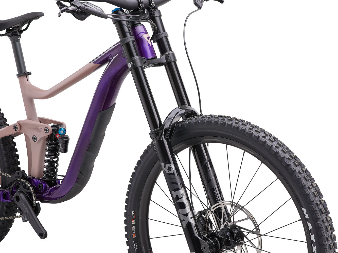 Reign sales sx 29