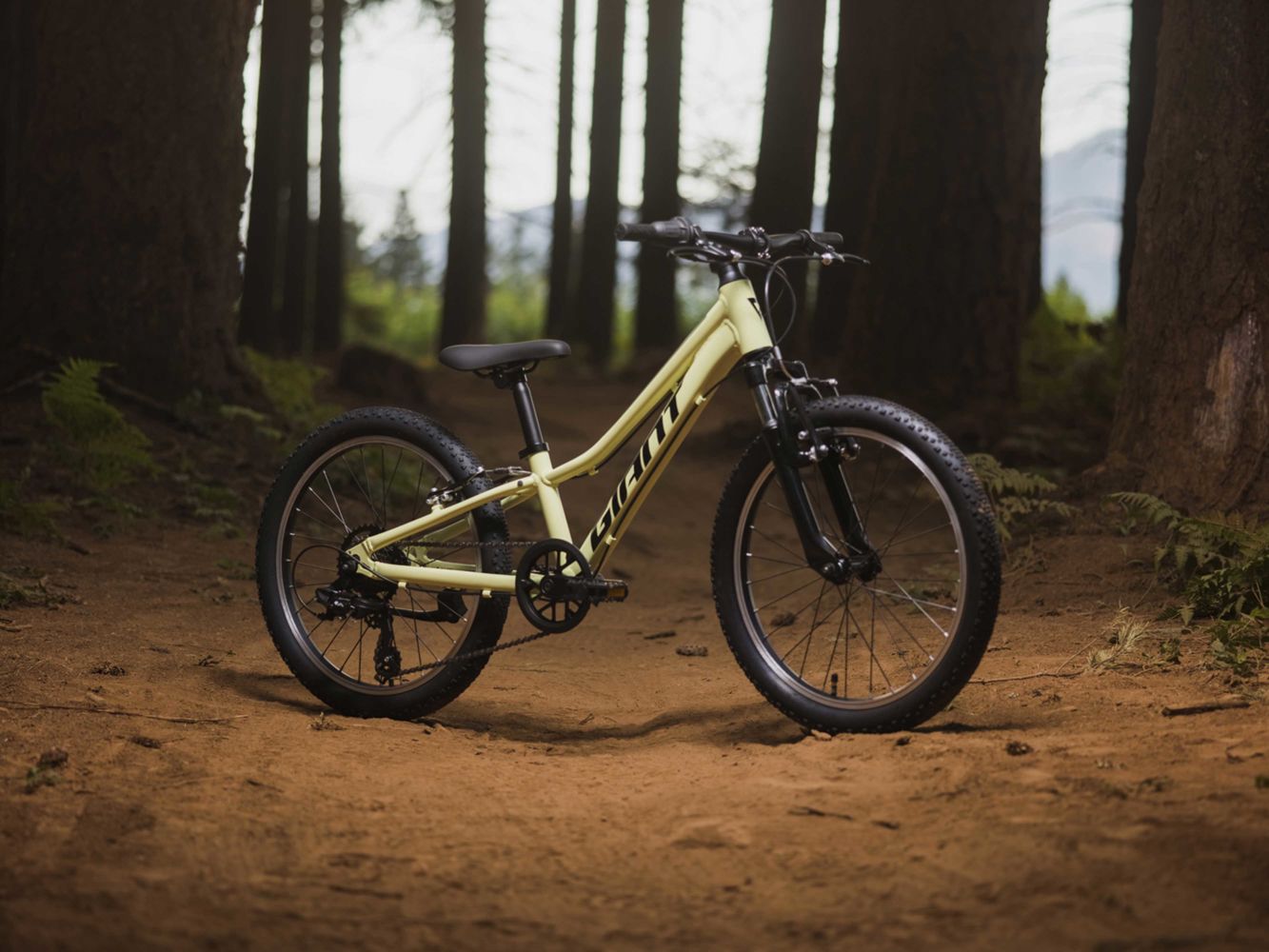 Talon 20