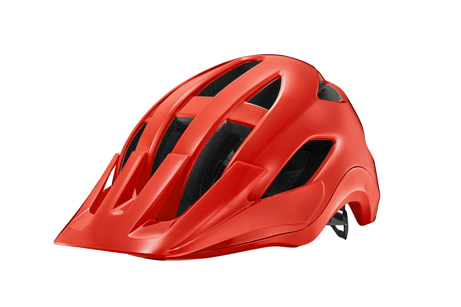 Giant roost mtb sales helmet