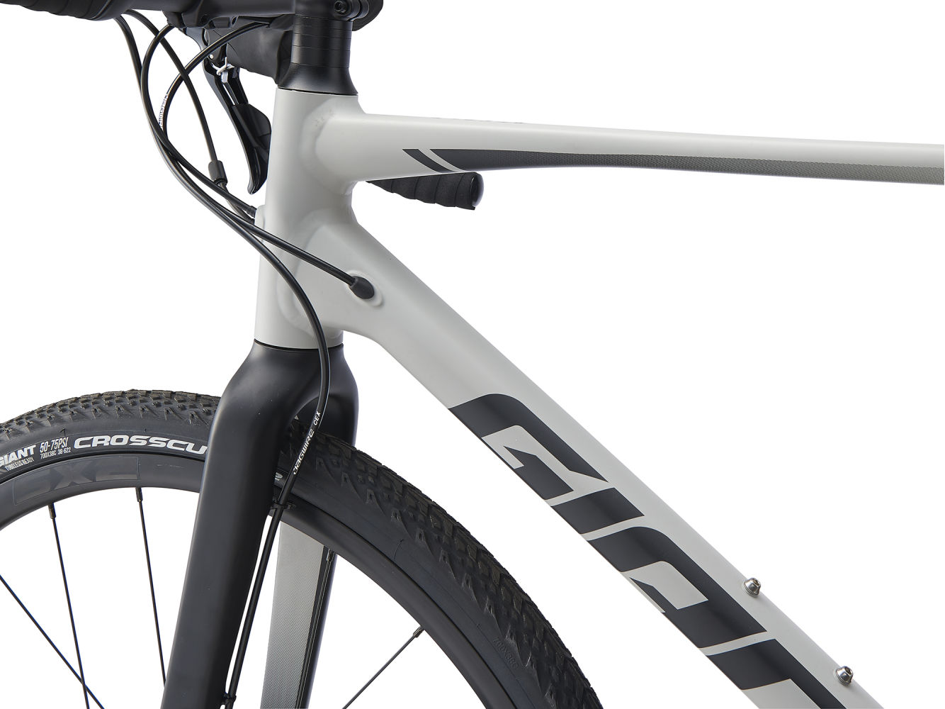 2021 giant 2025 revolt 2