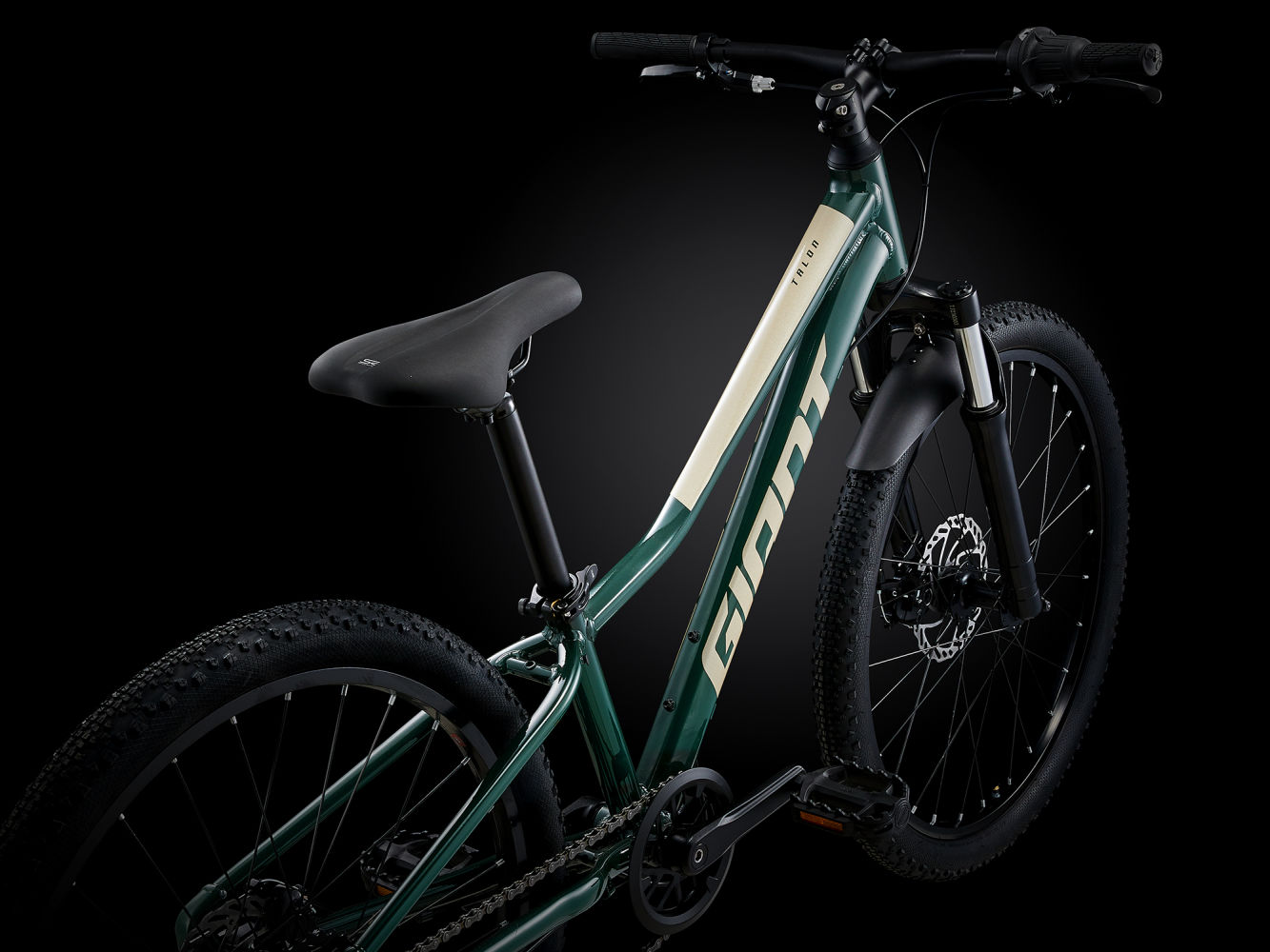 Giant 24 pulgadas 2020 sales