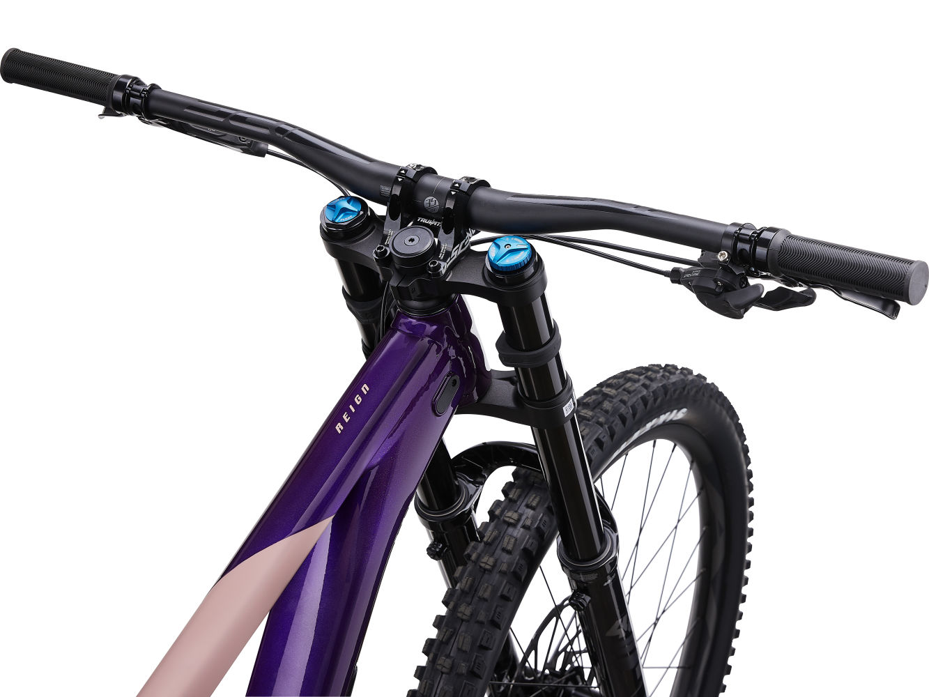 Reign sx 2024
