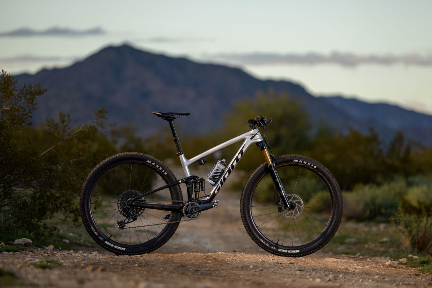 Anthem 29er sales 1 2019