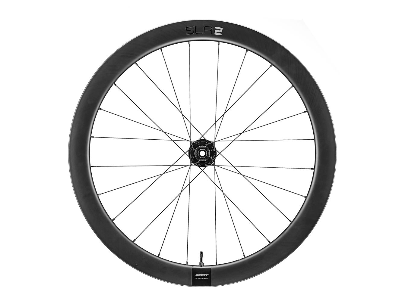 SLR 2 50 Disc WheelSystem