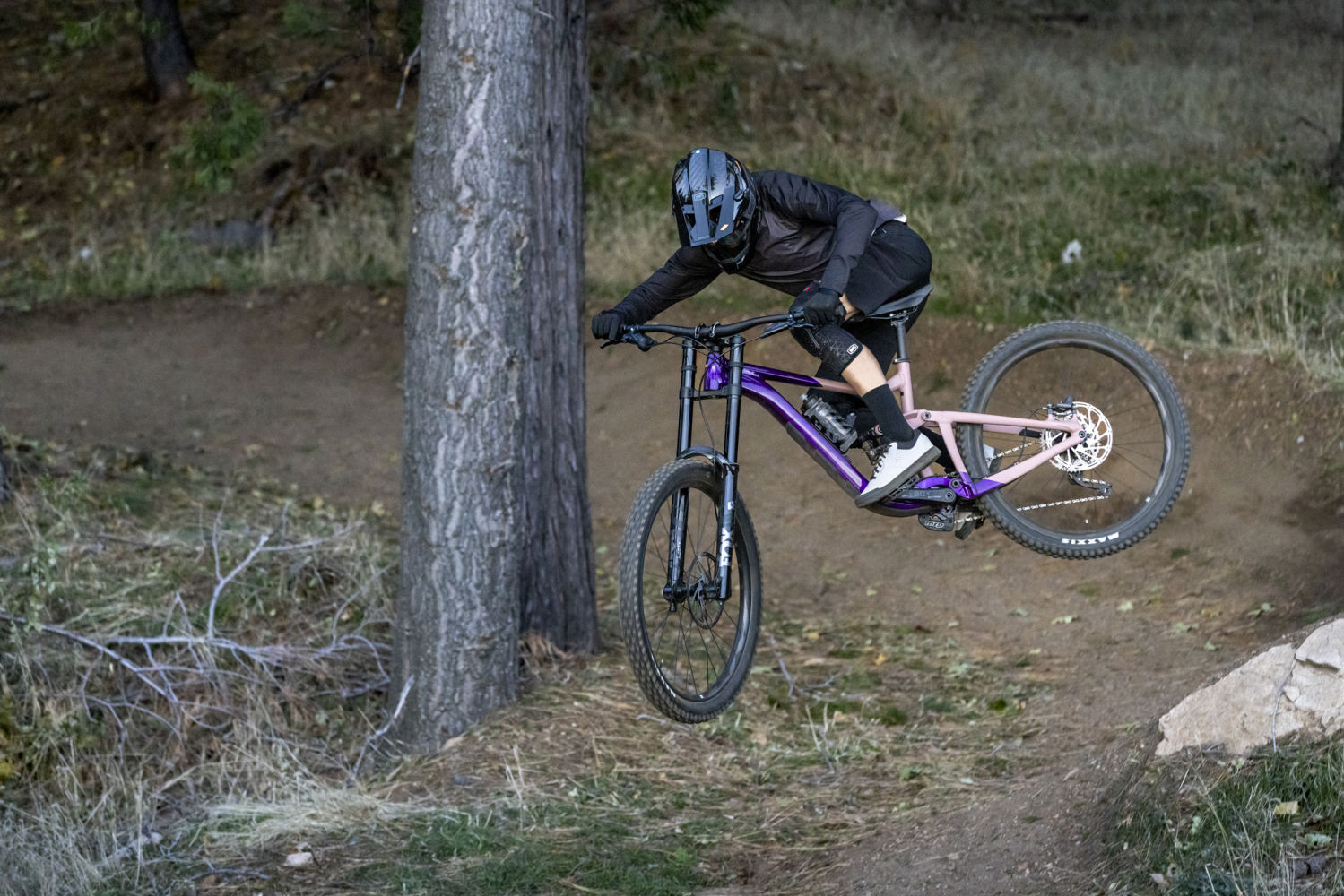 Giant reign sx 2012 deals