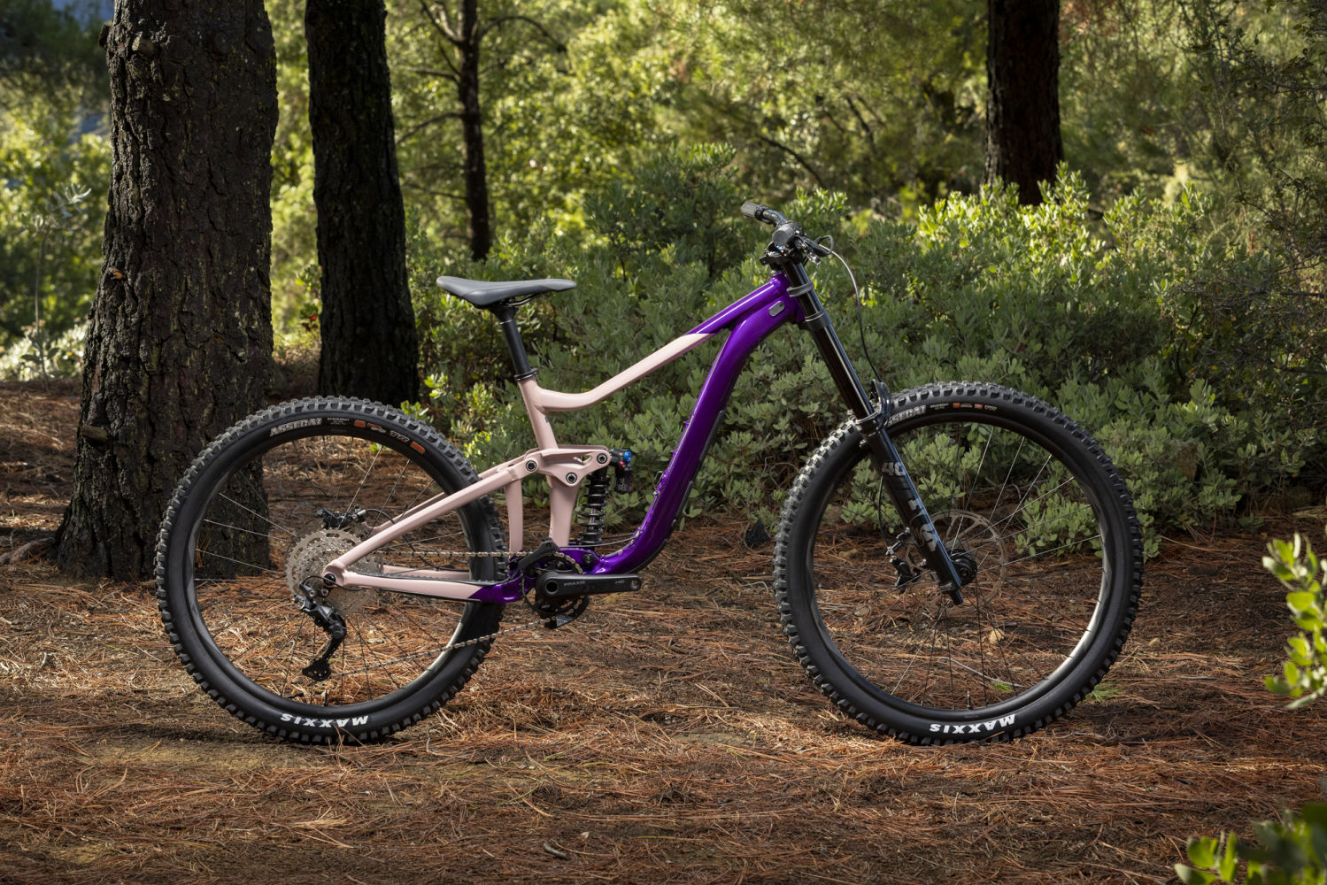 Reign hotsell 29 sx