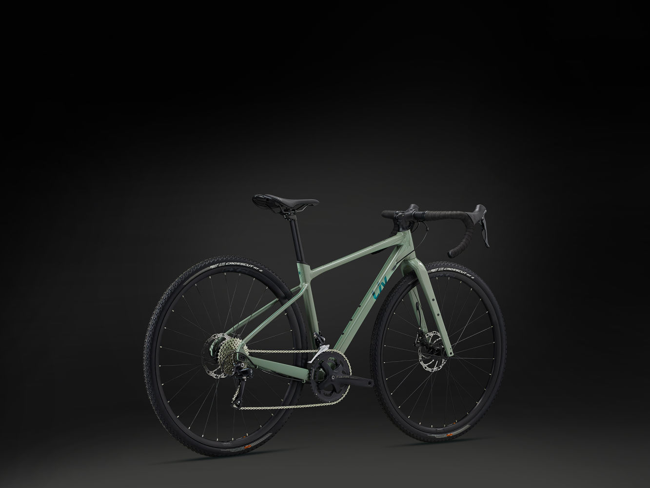 Liv outlet 24 bike