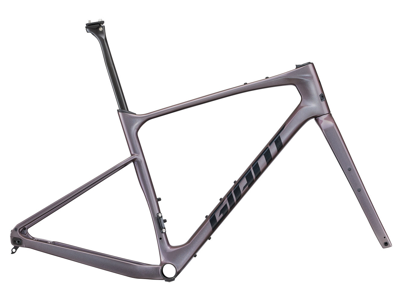 Giant tcr 2021 frameset 2025