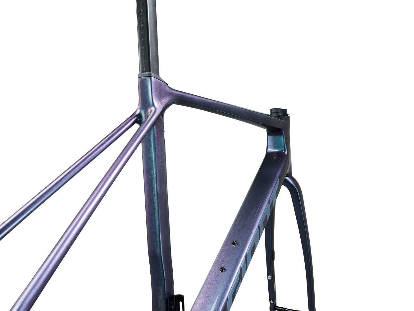 Giant tcr advanced clearance pro 0 frameset