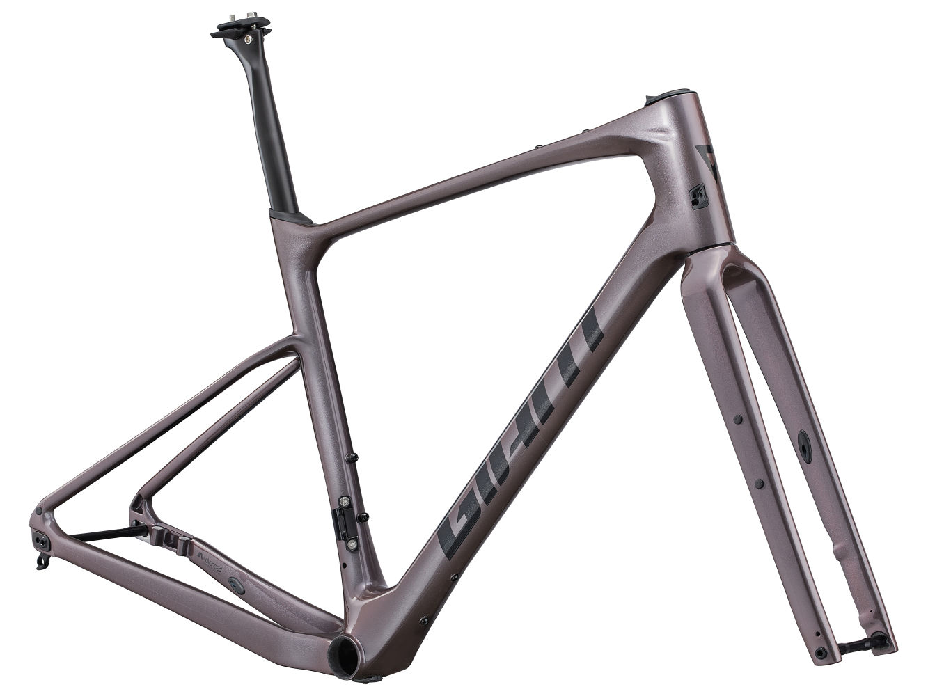 Giant tcr advanced discount pro 2021 frameset