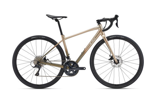 Liv cycling 2021 outlet
