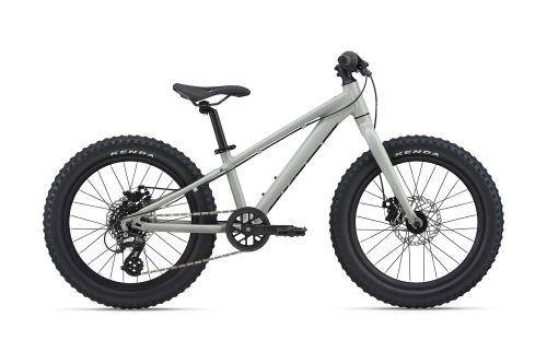 STP 20