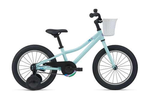 Giant kids bikes for sale clearance