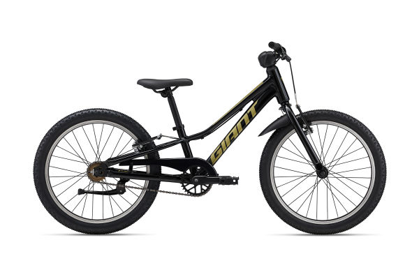 Giant 20 inch bike sales