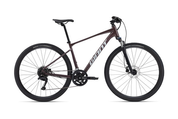 Giant roam 3 disc hybrid bike 2021 stores online