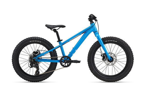 MY24STP20-LIV_ColorAAIBlue.jpg