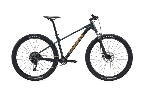 Mountain bike giant bicycles hotsell