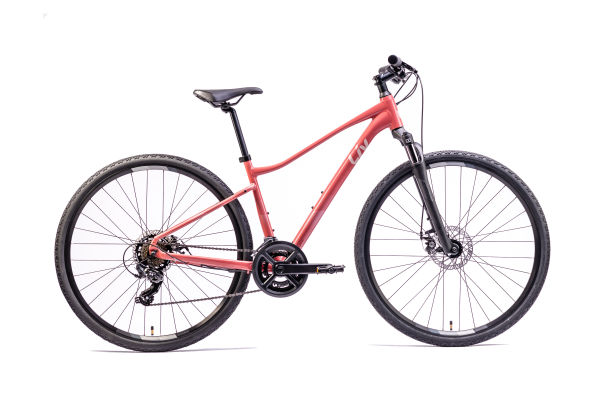 Liv rove e bike hot sale