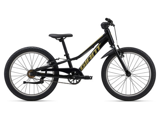 Giant 20 inch bike top