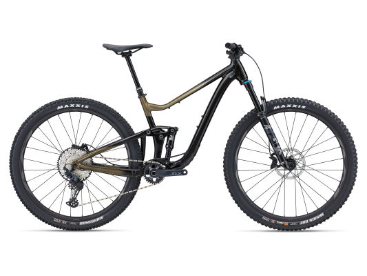Giant Trance 29 1 Pyrite Brown Large