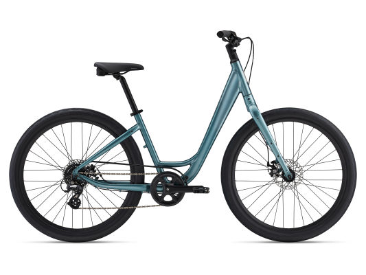 Vida Low-Step (2024) | bike | Momentum Bikes US
