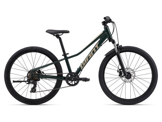 Giant junior new arrivals mountain bike