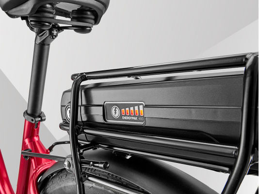 Rear Rack Battery