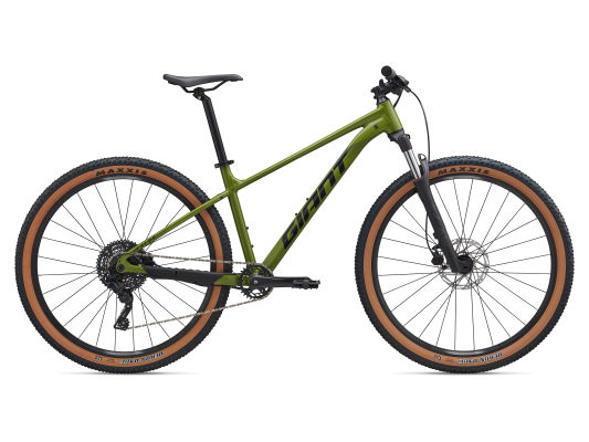 MY25Talon292_ColorCDriedMatcha.jpg