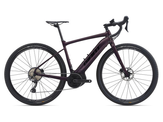 2021 giant ebike