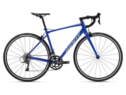 Contend 2 2024 All Rounder bike Giant Bicycles UK