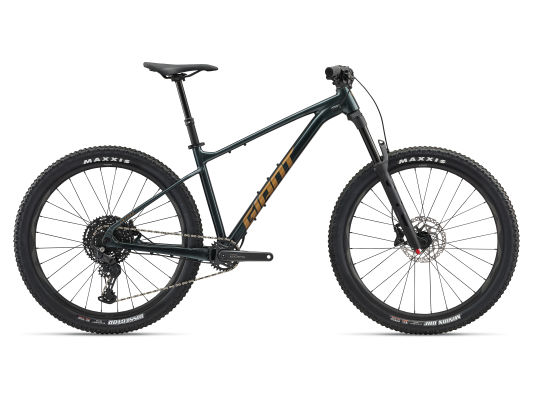 2020 giant fathom 1 on sale