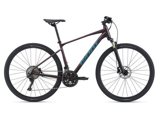 2020 giant cheap roam 0