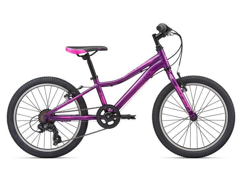 Enchant 20 clearance lite 2020