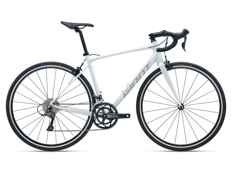 Contend 3 (2026) | Endurance 自行車| Giant Bicycles Taiwan 臺灣