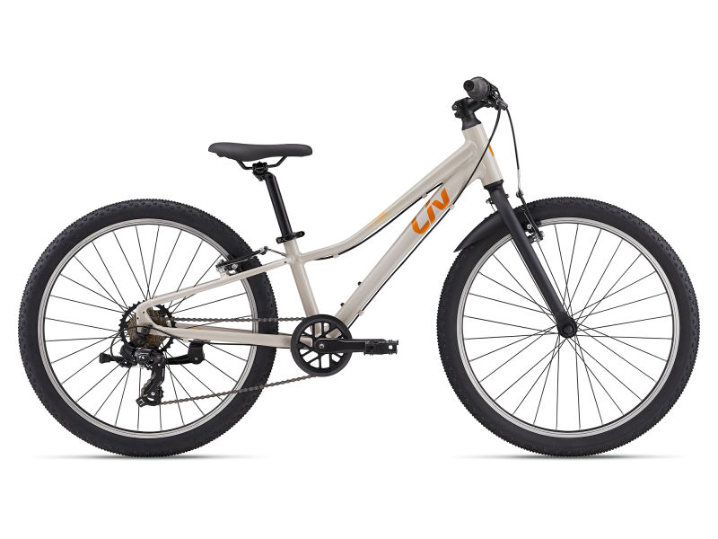 Giant liv bike 24 inch clearance